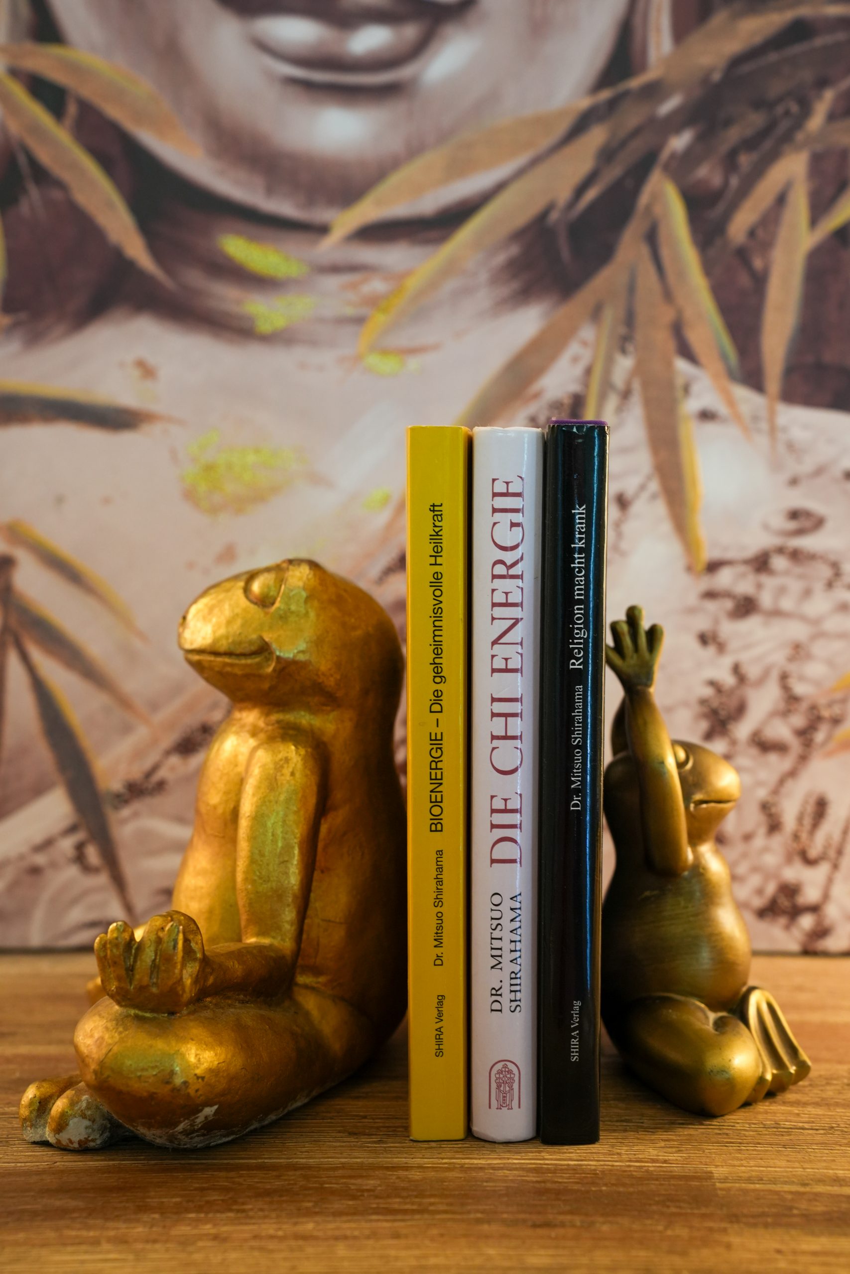 Cornelia Protogerov – Bild 8